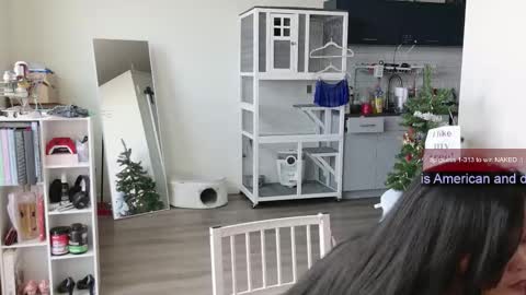 R o r i  SnapChat heyroriv2 wednesday - sunday Noon oclock mountain - 5pm mountain online show from November 1, 2025, 6:21 pm