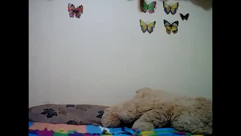 ms_teery online show from December 8, 2024, 12:30 pm