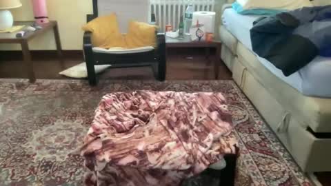 much_fun1 online show from February 2, 2026, 8:02 am