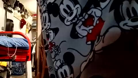 Snapshot of muddflapz chatting on October 6, 2025, 10:56 am muddflapz online show from October 6, 2025, 10:56 am