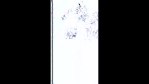 mudjimba online show from February 26, 2026, 5:17 am