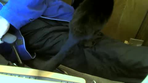 muller520 online show from February 23, 2025, 3:18 pm