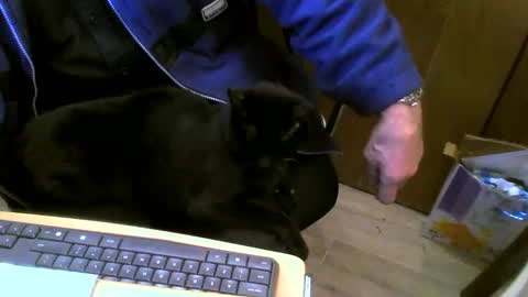 muller520 online show from February 27, 2025, 5:26 pm