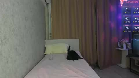 musemelody online show from January 15, 2026, 9:29 pm