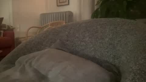 Snapshot of muslgut chatting on February 16, 2025, 3:04 am muslgut online show from February 16, 2025, 3:04 am