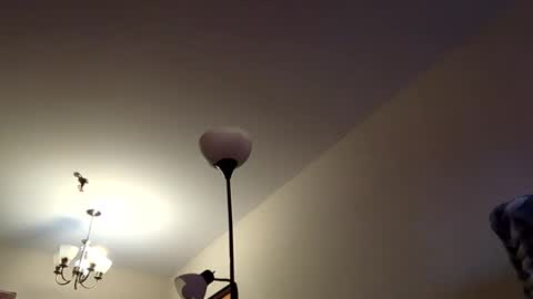 mutualmasturbatorman online show from April 19, 2026, 4:28 pm