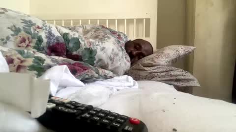 Snapshot of mycockissohard2021 chatting on February 14, 2025, 2:54 pm mycockissohard2021 online show from February 14, 2025, 2:54 pm