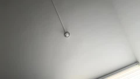 Snapshot of mykinkybunny chatting on March 12, 2025, 8:52 pm jacke BUNNY online show from March 12, 2025, 8:52 pm