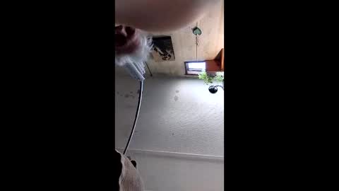 Mynutts online show from December 16, 2025, 3:06 pm