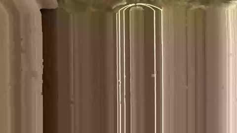 Ricky online show from November 12, 2025, 3:12 pm