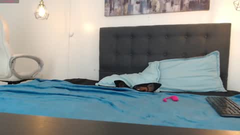 Snapshot of mysterious_girl42 chatting on January 5, 2025, 1:26 pm No Name online show from January 5, 2025, 1:26 pm