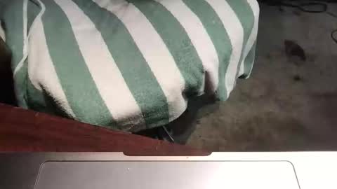 Snapshot of mythickness chatting on January 15, 2025, 1:56 am mythickness online show from January 15, 2025, 1:56 am