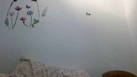 nahomy_gree online show from February 6, 2026, 6:40 am