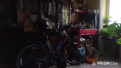 Naked Naturist online show from February 13, 2026, 10:44 am