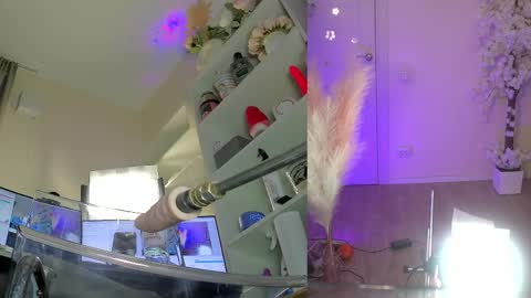 INSTAGRAM     bekkercat  online show from February 3, 2026, 9:03 am