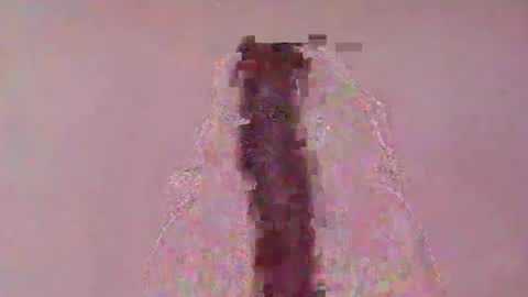 Snapshot of nasandratra1901376647 chatting on March 16, 2026, 8:40 am nasandratra1901376647 online show from March 16, 2026, 8:40 am