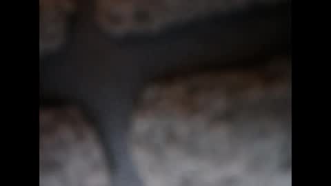 Snapshot of naughtypanties123 chatting on March 11, 2026, 6:08 am naughtypanties123 online show from March 11, 2026, 6:08 am