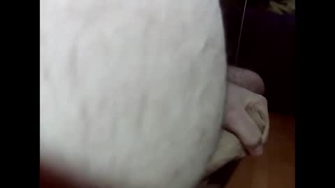 Snapshot of ncbncb chatting on March 1, 2025, 8:21 pm ncbncb online show from March 1, 2025, 8:21 pm