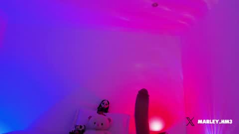 xd online show from December 14, 2025, 10:25 pm