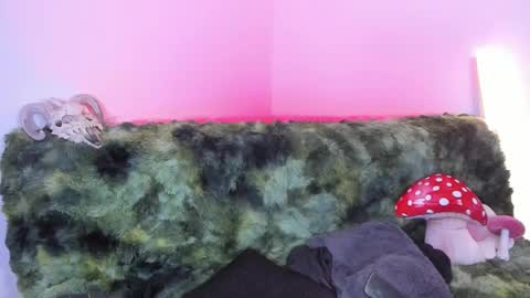 Marie    online show from November 15, 2025, 8:33 am