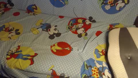 Lilly  online show from October 25, 2025, 3:03 am