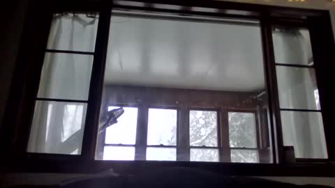 Newguy81240 online show from January 23, 2025, 3:54 pm