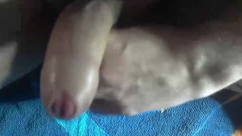 ni983 online show from December 19, 2024, 3:08 pm