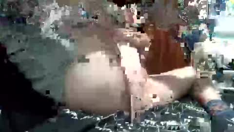 Snapshot of nic2nite chatting on February 4, 2026, 11:53 pm nic2nite online show from February 4, 2026, 11:53 pm