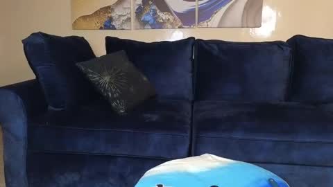 Snapshot of nicckah_ chatting on December 21, 2024, 11:33 am Lilly online show from December 21, 2024, 11:33 am