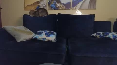 Snapshot of nicckah_ chatting on February 22, 2025, 9:48 pm Lilly online show from February 22, 2025, 9:48 pm