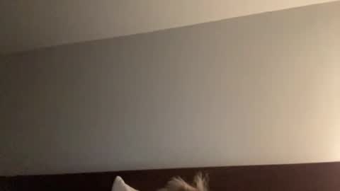 Snapshot of nice_gentle_naughty chatting on December 13, 2024, 11:34 am Nice Gentle Naughty online show from December 13, 2024, 11:34 am