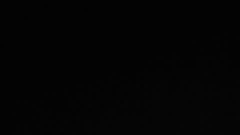 Snapshot of nice_guy_4u_ chatting on February 3, 2025, 10:36 am Robin online show from February 3, 2025, 10:36 am