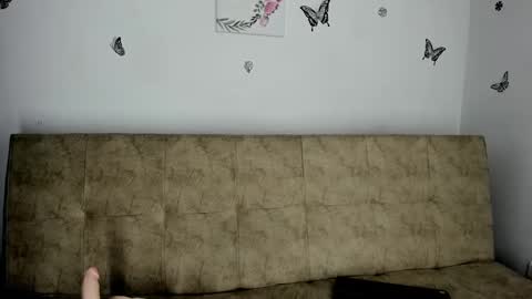 Nicol online show from December 19, 2024, 5:40 am