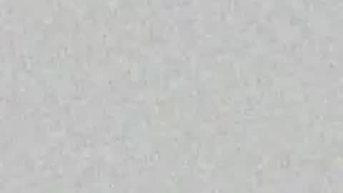 Nikki Ramone   online show from April 21, 2026, 11:38 am