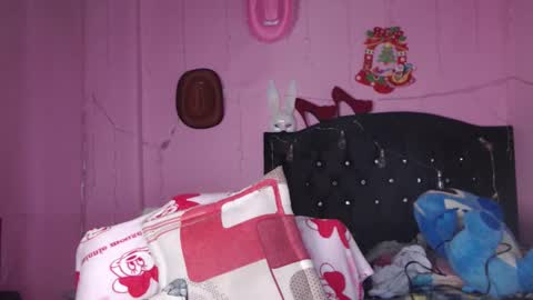 Snapshot of nikkirous_ chatting on March 8, 2025, 12:41 pm Nikkirous online show from March 8, 2025, 12:41 pm