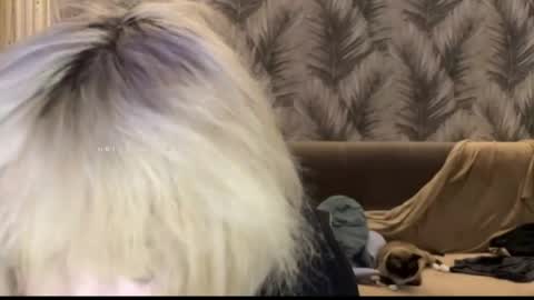 nikoli_naw online show from June 11, 2026, 7:45 pm
