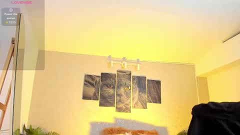 Nils online show from February 7, 2026, 4:49 am