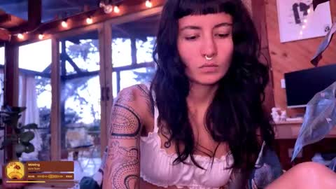 Nina.  online show from March 1, 2026, 10:23 pm