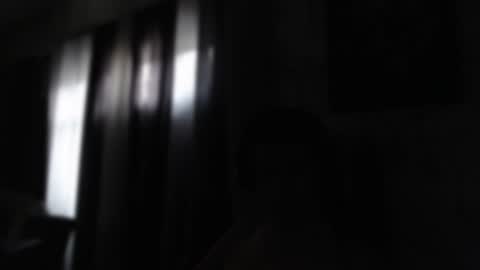 Sebastian online show from January 23, 2025, 12:30 pm