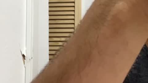 Noah online show from March 30, 2026, 6:25 am