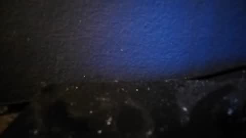 Nocycle000 online show from September 14, 2025, 6:51 pm