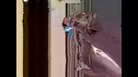 nolplus online show from September 22, 2025, 4:36 am