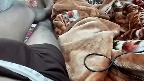 Snapshot of nooby942461 chatting on December 3, 2024, 7:11 pm sim nib online show from December 3, 2024, 7:11 pm