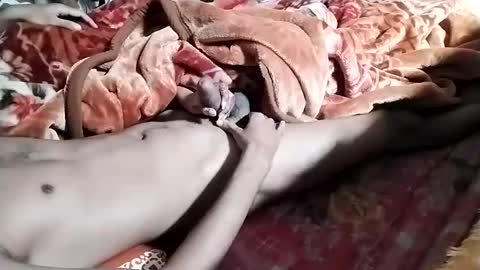 Snapshot of nooby942461 chatting on January 28, 2025, 6:38 am sim nib online show from January 28, 2025, 6:38 am