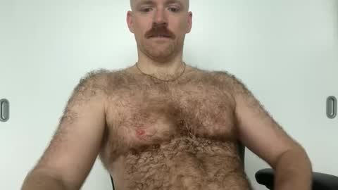 No Plan online show from January 8, 2026, 2:41 pm