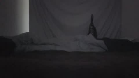 norty450 online show from February 10, 2026, 3:21 am