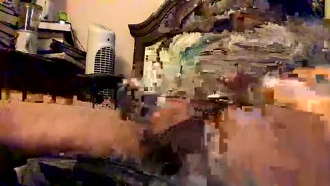 nothingclever1003 online show from January 16, 2025, 7:38 am