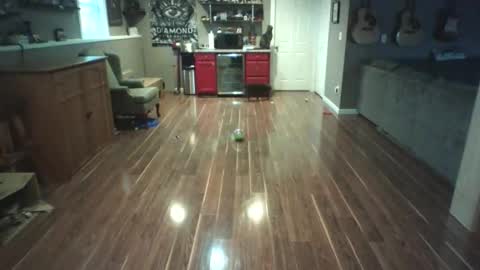 Nudistguy online show from March 15, 2026, 10:05 pm