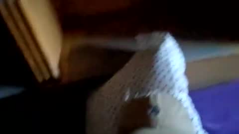 NYCGUY1982 online show from February 24, 2026, 7:45 pm