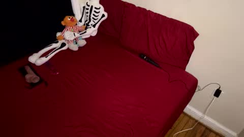 Nymphaea online show from February 16, 2026, 11:34 pm